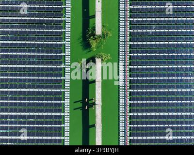 Vista aerea della centrale solare galleggiante dell'impianto di trattamento delle acque reflue di Sloka, con file di pannelli solari su pontili sopra l'acqua verde a Jurm Foto Stock