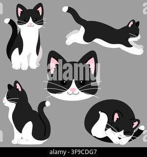 Set di illustrazioni semplici e adorabili di gatti bianchi e neri con colori piatti Illustrazione Vettoriale