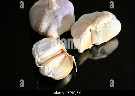 Fotografia commerciale in primo piano di bulbi di aglio bianchi freschi, interi e spezzati, non sbucciati, nella loro buccia naturale cartacea, disposti su una superficie nera lucida come uno specchio con riflessi morbidi Foto Stock