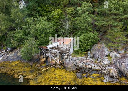 Vista aerea di un capannone di legno stagionato incastonato su una costa rocciosa coperta di alghe, circondato da una fitta foresta a Liabygda, More og Romsdal, Norvegia. Foto Stock