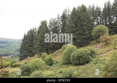 Monti Derrynasaggart Derry Na Saggart Contea di Kerry Eire Irlanda Foto Stock