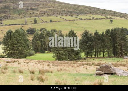 Monti Derrynasaggart Derry Na Saggart Contea di Kerry Eire Irlanda Foto Stock