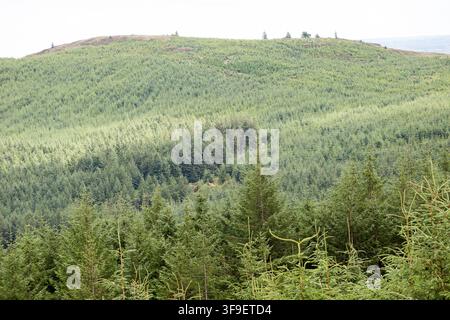 Monti Derrynasaggart Derry Na Saggart Contea di Kerry Eire Irlanda Foto Stock