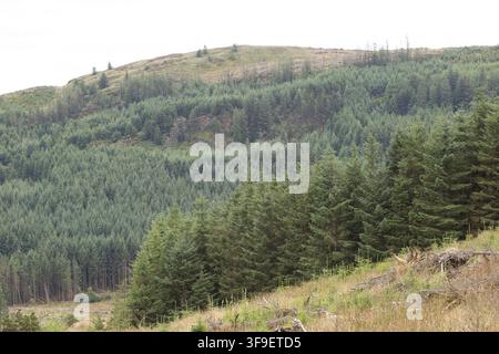 Monti Derrynasaggart Derry Na Saggart Contea di Kerry Eire Irlanda Foto Stock