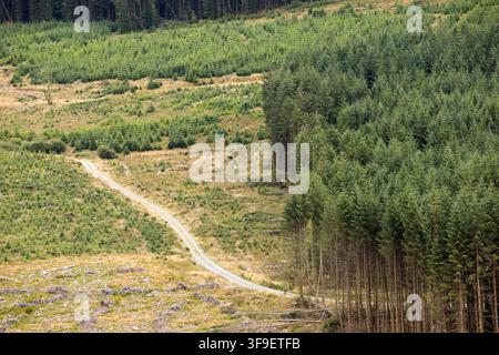 Monti Derrynasaggart Derry Na Saggart Contea di Kerry Eire Irlanda Foto Stock