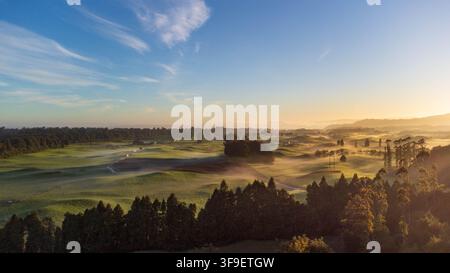 Vista aerea del paesaggio brumoso di Mamaku con dolci colline verdi, macchie di foresta fitta e una morbida luce mattutina che illumina la valle a Ro Foto Stock