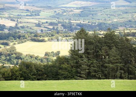 Monti Derrynasaggart Derry Na Saggart Contea di Kerry Eire Irlanda Foto Stock