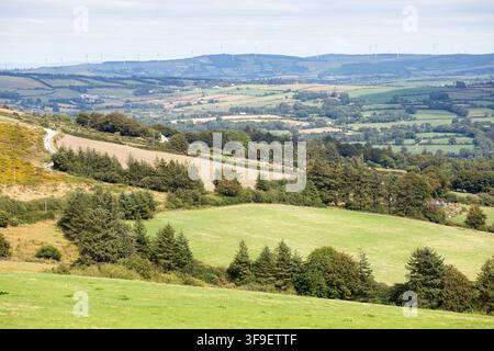 Monti Derrynasaggart Derry Na Saggart Contea di Kerry Eire Irlanda Foto Stock