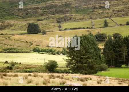 Monti Derrynasaggart Derry Na Saggart Contea di Kerry Eire Irlanda Foto Stock