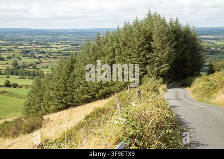 Monti Derrynasaggart Derry Na Saggart Contea di Kerry Eire Irlanda Foto Stock