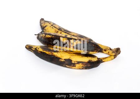Tre banane troppo mature con buccia fortemente annerita, isolate su sfondo bianco Foto Stock