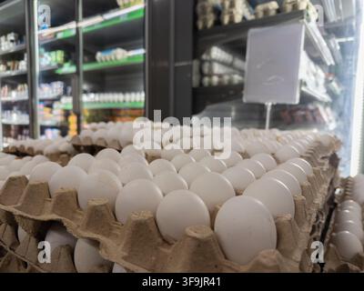 File di uova fresche disposte su cartoni di carta per la vendita nel reparto lattiero di un supermercato, che mostrano la distribuzione sostenibile dei prodotti agricoli e l'essenziale Foto Stock