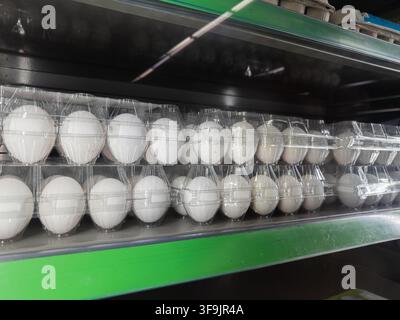 Cartoni di plastica impilati contenenti uova bianche allineati ordinatamente su uno scaffale refrigerato di un negozio, rappresentanti l'approvvigionamento alimentare, forniture culinarie salutari e Foto Stock