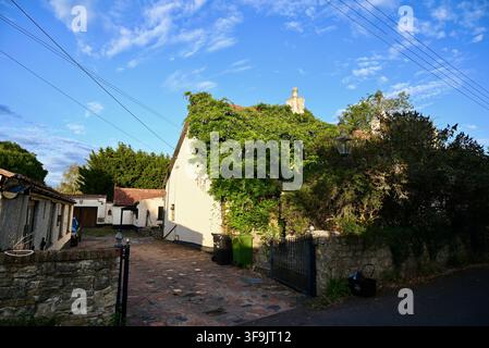 una vecchia fattoria ricoperta di glicini a Ruishton Somerset Inghilterra Regno Unito Foto Stock