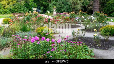 Giardino delle rose al Lauriston Castle, Cramond, Edimburgo, Midlothian, Scozia Foto Stock