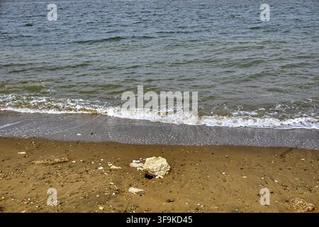 Astratto di un mare calmo che lambisce una spiaggia sabbiosa con sabbia bagnata e schiuma Foto Stock