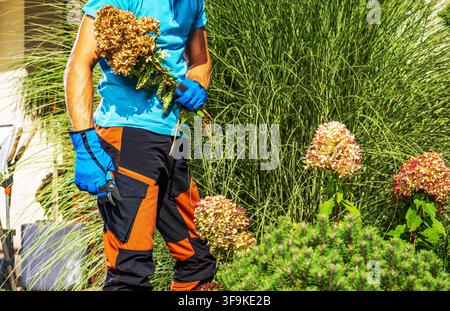 Una persona con una camicia blu e pantaloni arancioni tiene un mazzo di fiori mentre è in piedi in un giardino. Erba alta e fiori in fiore circondano il giardiniere. Foto Stock