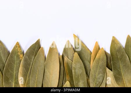 Foglie di alloro essiccate in basso nel quadro sfondo bianco erbe e spezie ingrediente da cucina. Foto Stock