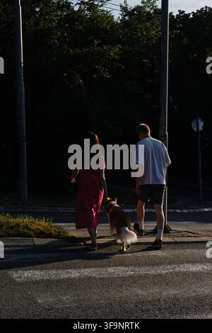 Coppia che attraversa la strada con il proprio cane al tramonto. Stile di vita urbano con animali domestici e passeggiata serale. Vista posteriore. Foto Stock