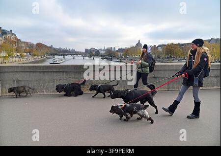 PARIGI - 30 NOV 2022: Due donne francesi che passeggiano un gruppo di cani su un ponte sopra la Senna a Parigi, Francia. Il numero di cani domestici in Francia è stato stimato Foto Stock