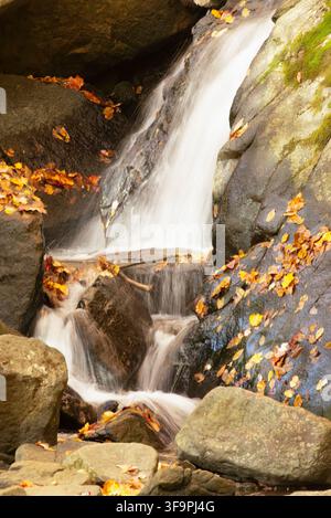 Scena autunnale con cascata fluente e foglie a Ricketts Glen, PA Foto Stock