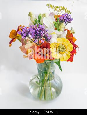 Varie fiori estivi in un vaso di vetro su sfondo bianco Foto Stock