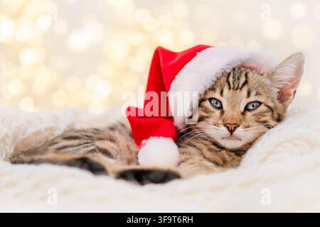 Grazioso gattino Bengal con un cappello rosso di Babbo Natale che dorme su una coperta bianca. Foto Stock