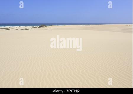 Ampi dune di sabbia del deserto incontrano il blu Oceano Atlantico sotto cieli sereni e offrono un paesaggio tranquillo Foto Stock