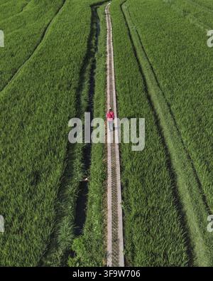 Vista aerea percorso a piedi donna attraverso risaie smeraldo, viaggiatore solo in giacca rossa Foto Stock