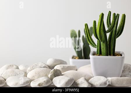 Cactus verde in pentola bianca circondato da pietre di ciottoli bianchi su sfondo neutro per un moderno decor interno con piante e spa Foto Stock