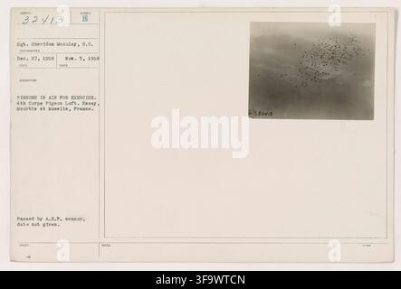 Il sergente Sheridan McAuley, Signal Corps, ha fotografato piccioni in volo durante un'esercitazione al colombaio del 4° Corpo a Essex, Meurthe et Moselle, Francia, il 5 novembre 1918. Foto Stock