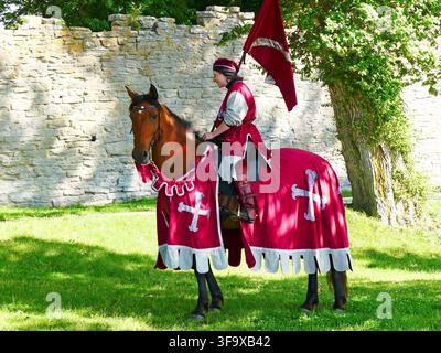 Una donna sta cavalcando un cavallo Foto Stock