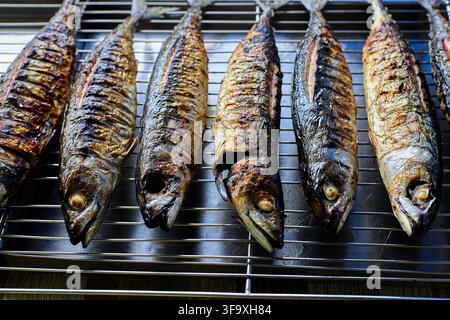 Pesce maccherello intero grigliato che si raffredda su una griglia metallica Foto Stock