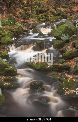 Stupendo paesaggio autunnale vivace di Padley Gorge nel Peak District, Inghilterra Foto Stock