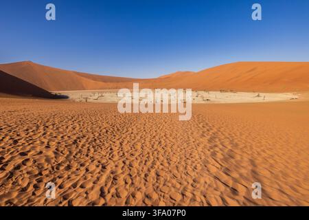 Pianura argillosa di Deadvlei nel parco nazionale di Namib-Naukluft, Namibia, Africa Foto Stock
