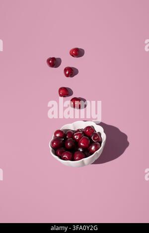 Ciliegie Picota mature e dolci della valle di Jerte, Estremadura, disposte in una ciotola di ceramica bianca con frutti sparsi su uno sfondo rosa e un forte s Foto Stock