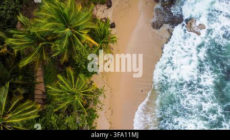 Vista aerea di una spiaggia tropicale isolata in Costa Rica, dove le onde dell'oceano si infrangono lungo una sabbia dorata accanto a una fitta foresta di palme, vegetazione lussureggiante e drammaticità Foto Stock