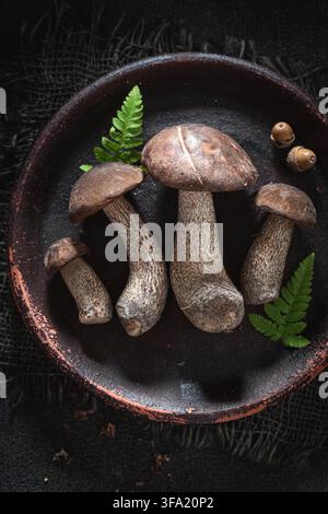 Funghi selvatici e commestibili raccolti dalla foresta di latifoglie. Raccolta autunnale nella foresta. Foto Stock