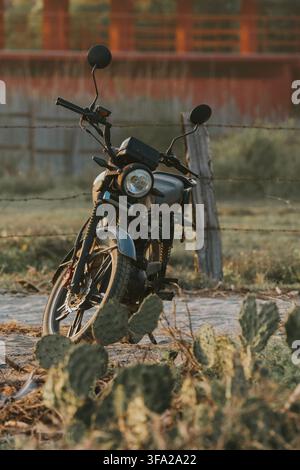 Moto classica parcheggiata su una strada sterrata vicino a un campo con cactus al tramonto Foto Stock