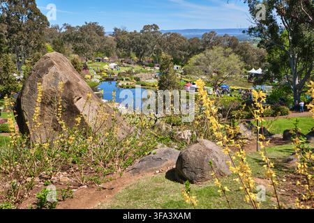 Vista da una collina. Al festival annuale Sakura Matsuri dei fiori di ciliegio nel Giardino Giapponese e Centro Culturale di Cowra, NSW, Australia. Foto Stock