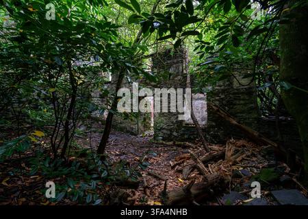 Struttura di edificio in pietra abbandonata circondata da alberi fitti e vegetazione nella cava Dorothea nel nord del Galles Foto Stock