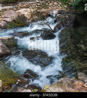 Ruscello di montagna impetuoso con rapidi di acqua bianca che scorrono su grossi massi e pietre rocciose Foto Stock