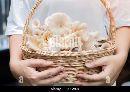 Persona che tiene un cesto di vimini pieno di funghi freschi all'aperto. Cesto di funghi raccolti. Concetto di erbe, cibo organico. Foto Stock
