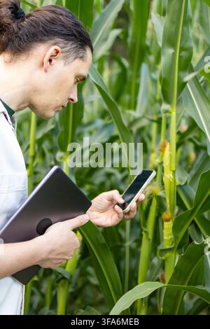 Scatto verticale a basso angolo di un ingegnere agricolo quarantenne che utilizza una fotocamera smartphone per l'audit delle colture. Concetto di registrazione del database smartphone, sistema di controllo ecologico Foto Stock