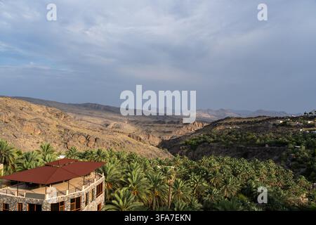 Oasi lussureggiante di palme da dattero che si affaccia su una valle montuosa aspra in Oman Foto Stock