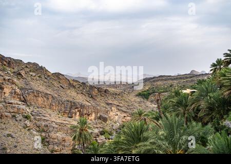 Vasta valle montana con oasi di palme verdi nel paesaggio arido dell'Oman Foto Stock
