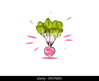 Collezione di vettori di arte lineare di verdure disegnate a mano, Illustrazioni botaniche di contorni di verdure fresche, Elementi floreali minimalisti, Cibo decorativo Illustrazione Vettoriale