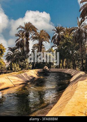 Vista di un canale di irrigazione stretto fiancheggiato da argini in cemento, circondato da palme lussureggianti sotto un cielo blu brillante ad Aswan, governatorato di Aswan, Egitto. Foto Stock