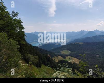 Vista panoramica del lago Wolfgangsee circondato da montagne alpine boschive e una valle dal Zwölferhorn, Austria Foto Stock