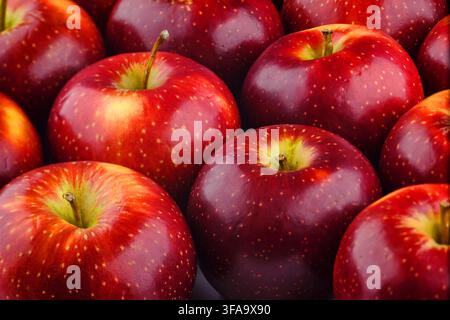 foto ravvicinata di un gruppo di mele rosse freschissime con alcuni segni di colore giallo Foto Stock